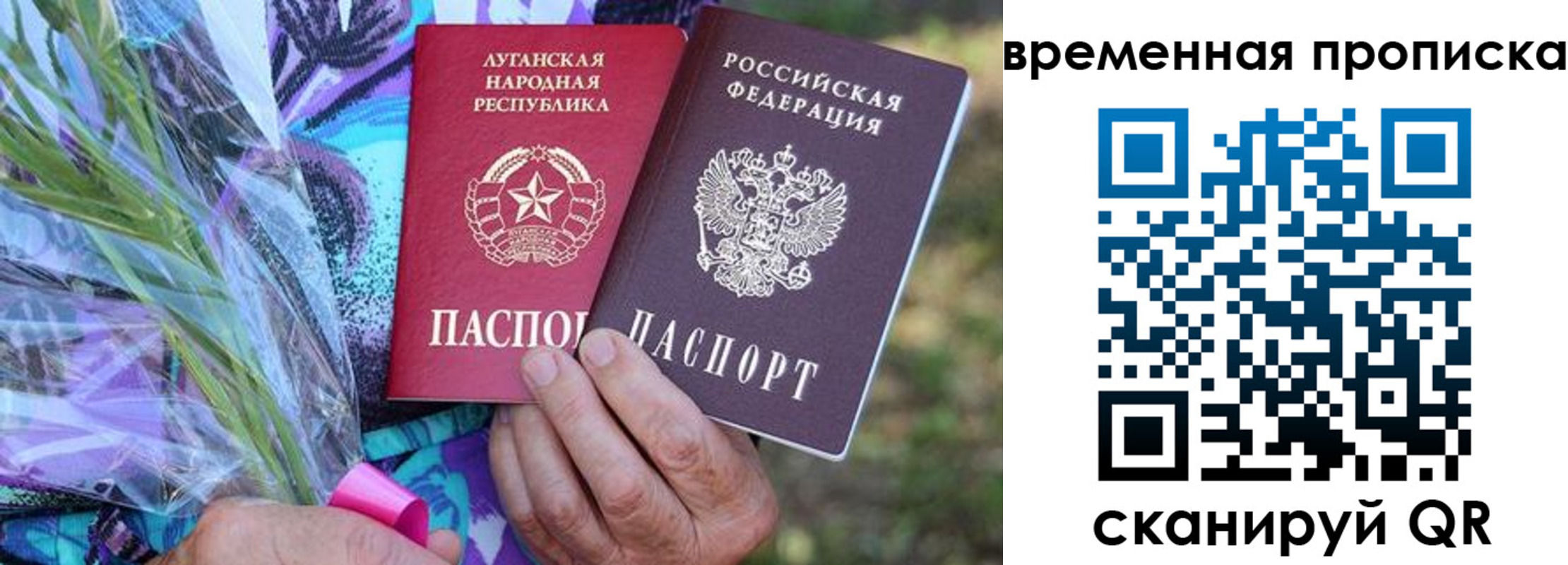 купить прописку в Камешково